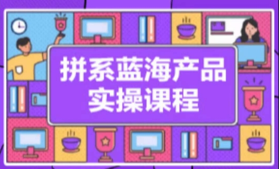 拼系冷门蓝海产品实操课程，从注册店铺到选品上架到流量维护环环相扣-观智斋电商课程站
