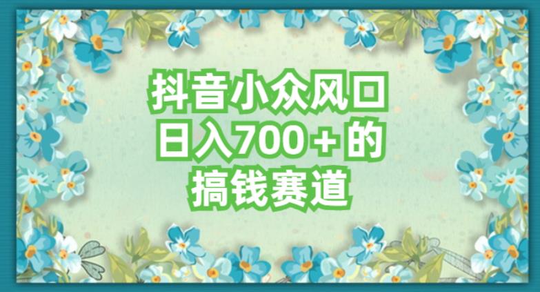抖音小众赛道，长期可做，简单容易复制-观智斋电商课程站