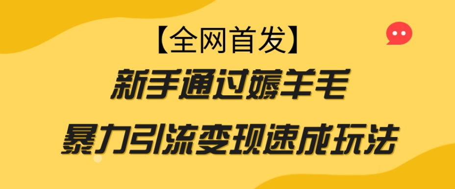 【全网首发】新手通过薅羊毛暴力引流变现速成玩法-观智斋电商课程站