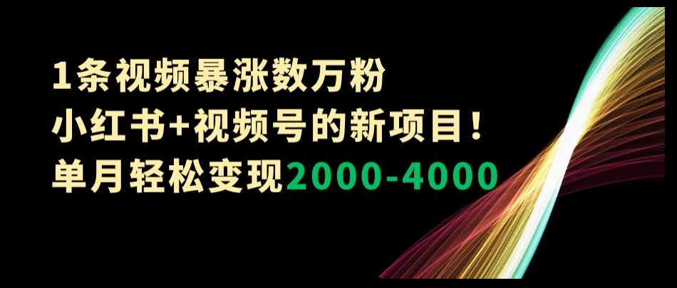 1条视频暴涨数万粉–小红书+视频号的新项目！单月轻松变现2000-4000【揭秘】-观智斋电商课程站