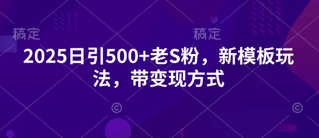 2025日引500+老S粉，新模板玩法，带变现方式-观智斋电商课程站