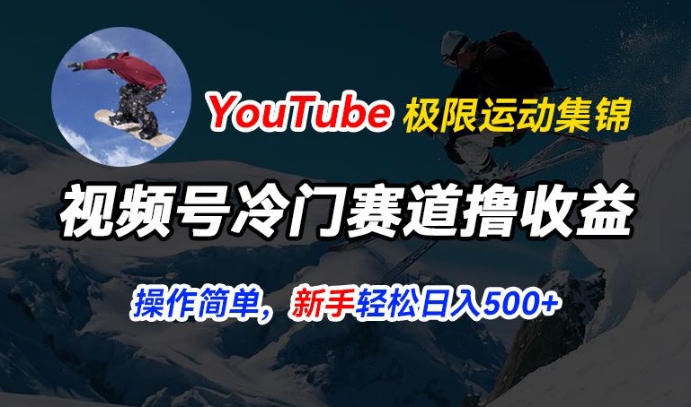 视频号冷门赛道撸收益，YouTube搬运极限运动集锦，暴力起号，操作简单流量高，轻松日入5张【揭秘】-观智斋电商课程站