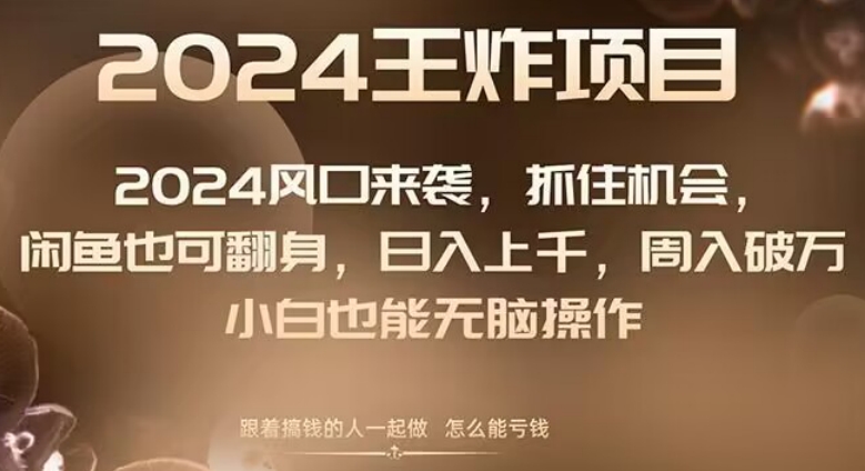 2024风口项目来袭，抓住机会，闲鱼也可翻身，日入上千，周入破万，小白也能无脑操作-观智斋电商课程站