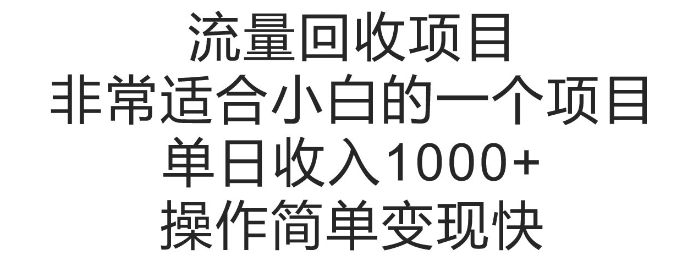 流量回收项目，非常适合小白的一个项目单日收入多张，操作简单变现快-观智斋电商课程站