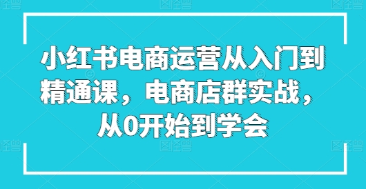 小红书电商运营从入门到精通课，电商店群实战，从0开始到学会-观智斋电商课程站