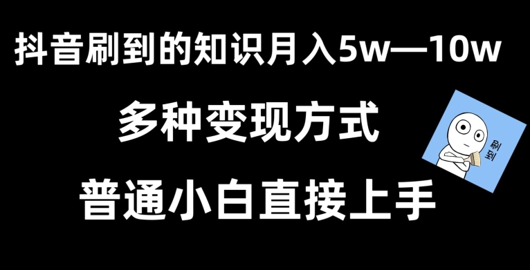 抖音刷到的知识，每天只需2小时，日入2000+，暴力变现，普通小白直接上手【揭秘】-观智斋电商课程站