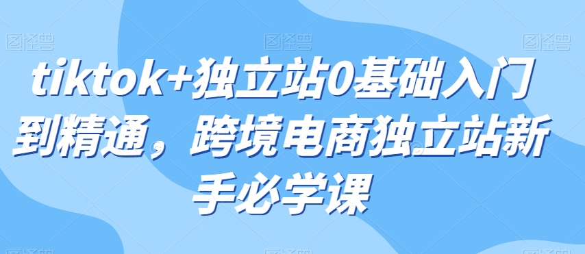 tiktok+独立站0基础入门到精通，跨境电商独立站新手必学课-观智斋电商课程站