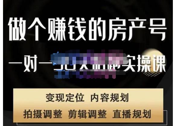 刘广标·同城房产号线上陪跑课，拍摄、剪辑、写文案、直播，做一个具有潜力价值的房产号-观智斋电商课程站
