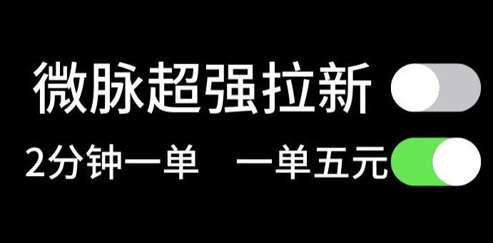 微脉无脑拉新，每单5块钱，轻松日入三位数-观智斋电商课程站