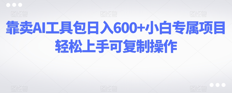 靠卖AI工具包日入600+小白专属项目轻松上手可复制操作-观智斋电商课程站
