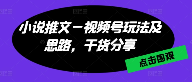 小说推文—视频号玩法及思路，干货分享-观智斋电商课程站