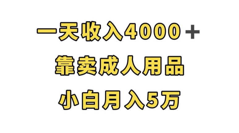 一天收入4000+，靠卖成人用品，小白轻松月入5万【揭秘】-观智斋电商课程站