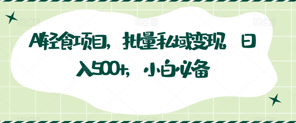 AI轻食项目，批量私域变现，日入500+，小白必备-观智斋电商课程站