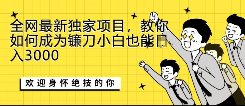 全网最新独家项目，教你如何成为镰刀小白也能日入上K-观智斋电商课程站