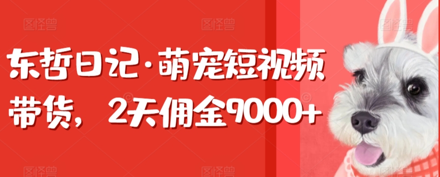 东哲日记·萌宠短视频带货，2天佣金9000+-观智斋电商课程站