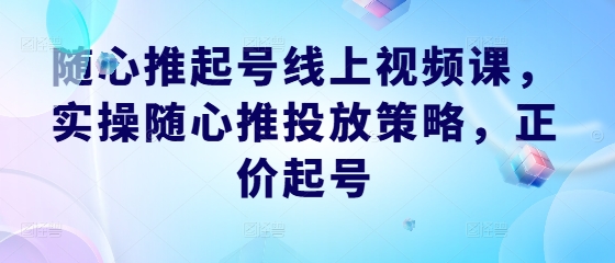 随心推起号线上视频课，实操随心推投放策略，正价起号-观智斋电商课程站