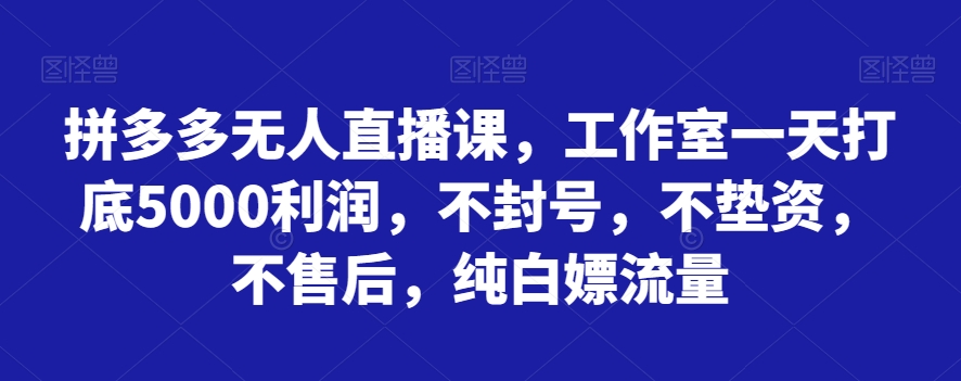 拼多多无人直播课，工作室一天打底5000利润，不封号，不垫资，不售后，纯白嫖流量-观智斋电商课程站