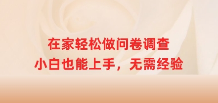 在家轻松做问卷调查，小白也能上手，无需经验-观智斋电商课程站