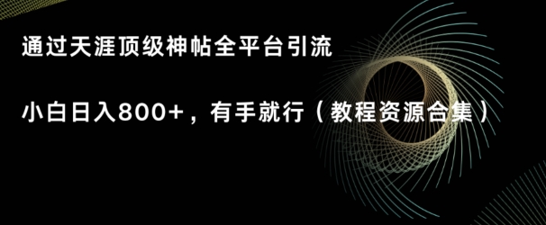 天涯顶级神帖项目，全平台引流小白日入800+，有手就行(内含教程资源合集)-观智斋电商课程站