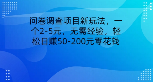问卷调查项目新玩法，一个2-5元，无需经验，轻松日赚50-200元零花钱-观智斋电商课程站
