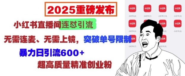 2025重磅发布：小红书直播间连怼引流，无需连麦、无需上镜，突破单号限制，暴力日引流600+-观智斋电商课程站