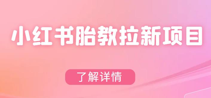 小红书胎教网盘拉新项目，可在私域变现两次（作品制作教程+素材）-观智斋电商课程站