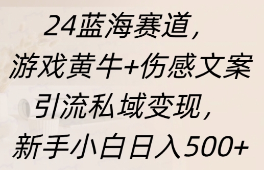 蓝海赛道，游戏黄牛+伤感文案引流私域变现，新手小白日入多张-观智斋电商课程站