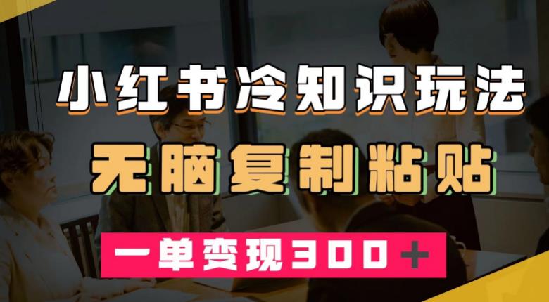 小红书冷知识玩法，无脑复制粘贴，一单变现300＋-观智斋电商课程站