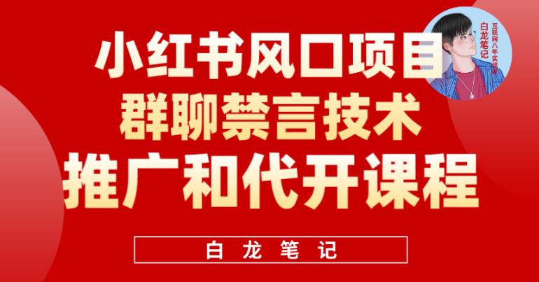 小红书风口项目日入300+，小红书群聊禁言技术代开项目，适合新手操作-观智斋电商课程站