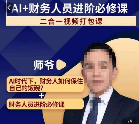 AI+财务人员进阶必修课二合一视频打包课，财务人员进阶必修课-观智斋电商课程站