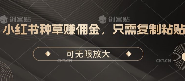 小红书种草赚佣金，只需复制粘贴，可无限放大-观智斋电商课程站