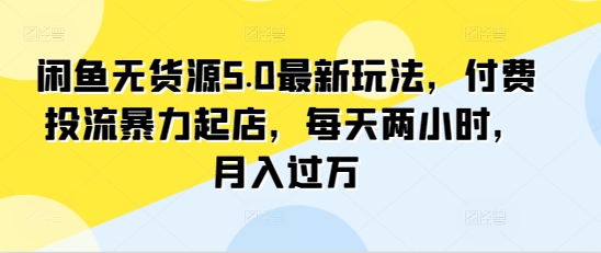 闲鱼无货源5.0最新玩法，付费投流暴力起店，每天两小时，月入过万!-观智斋电商课程站