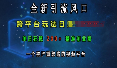 全新引流风口，跨平台玩法日入上k，单日狂揽200+精准创业粉，一个被严重忽略的视频平台-观智斋电商课程站