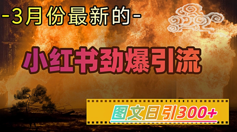 小红书超劲爆引流手段，图文日引300+轻松变现1W-观智斋电商课程站