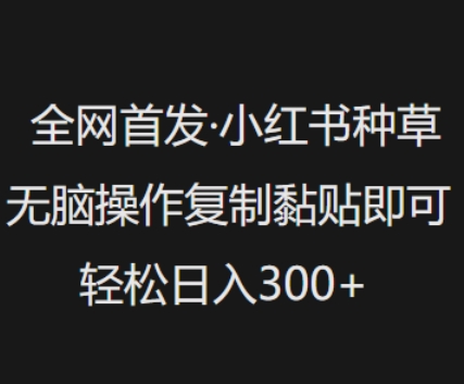 全网首发，小红书种草无脑操作，复制黏贴即可，轻松日入3张-观智斋电商课程站