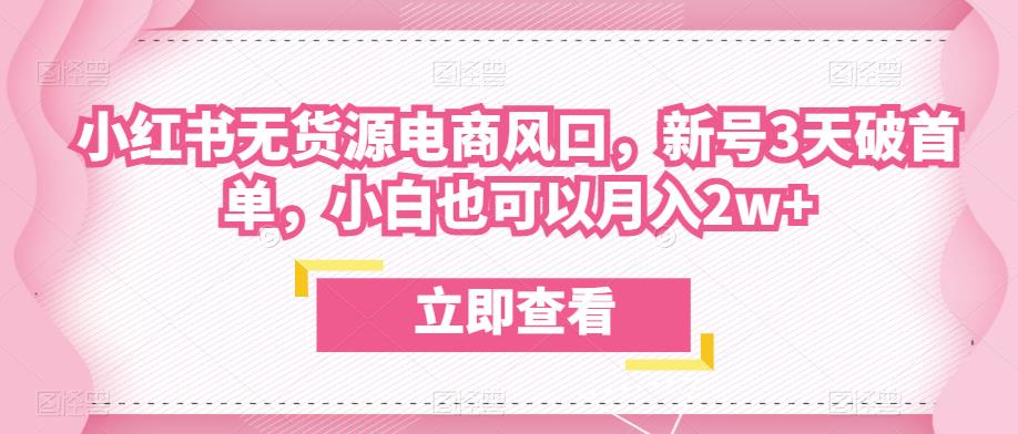 众狼电商余文小红书无货源电商风口，新号3天破首单，小白也可以月入2w+-观智斋电商课程站