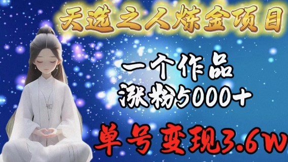 天选之人炼金项目，一个作品涨粉5000+，单号变现3.6w【揭秘】-观智斋电商课程站