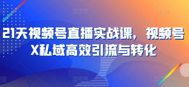 21天视频号直播实战课，视频号X私域高效引流与转化-观智斋电商课程站