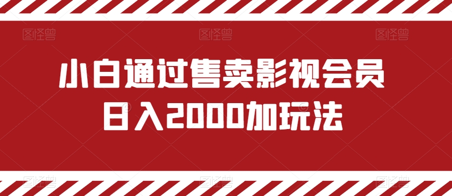 小白通过售卖影视会员日入2000加玩法-观智斋电商课程站