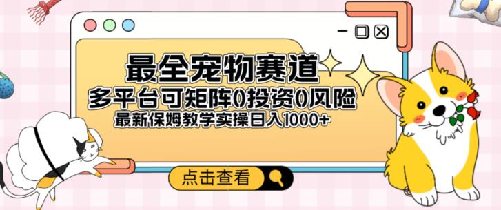 全新宠物赛道多平台轻松日入500+，0风险，0投资，可矩阵长期收入-观智斋电商课程站