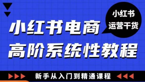小红书电商高阶系统教程，新手从入门到精通系统课-观智斋电商课程站