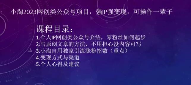 小淘2023网创类公众号项目，强IP强变现，可操作一辈子-观智斋电商课程站