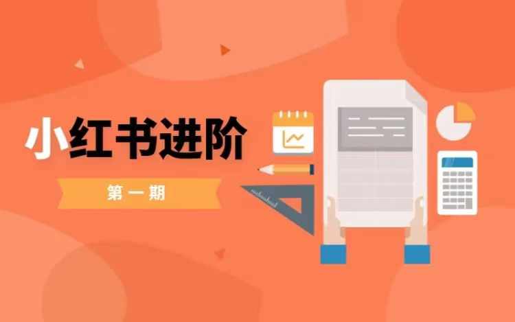 小红书进阶篇，零基础小白实战课，普通人变现的课程-观智斋电商课程站