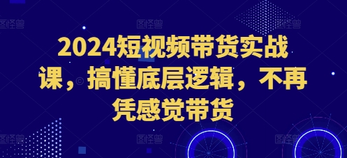 2024短视频带货实战课，搞懂底层逻辑，不再凭感觉带货-观智斋电商课程站