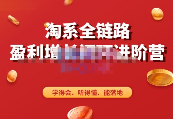 淘系全链路盈利增长闭环进阶营，融合全店动销，学得会、听得懂、能落地！-观智斋电商课程站