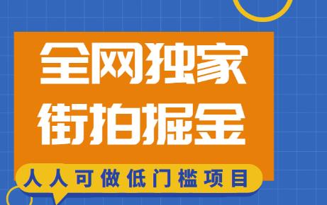 全网独家一街拍掘金，低门槛人人可做的赚钱项目【揭秘】-观智斋电商课程站