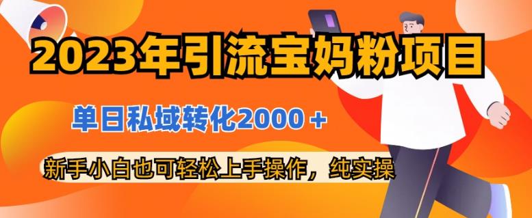 2023年引流宝妈粉项目，单日私域转化2000＋，新手小白也可轻松上手操作，纯实操-观智斋电商课程站