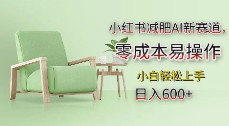 小红书减肥AI新赛道，零成本易操作，日入多张，小白轻松上手【揭秘】-观智斋电商课程站