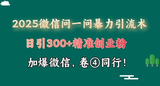 2025最新微信问一问暴力引流术揭秘，日引300+创业粉，单日变现四位数-观智斋电商课程站