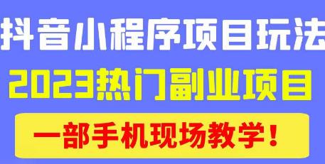 抖音小程序9.0新技巧，2023热门副业项目，动动手指轻松变现-观智斋电商课程站